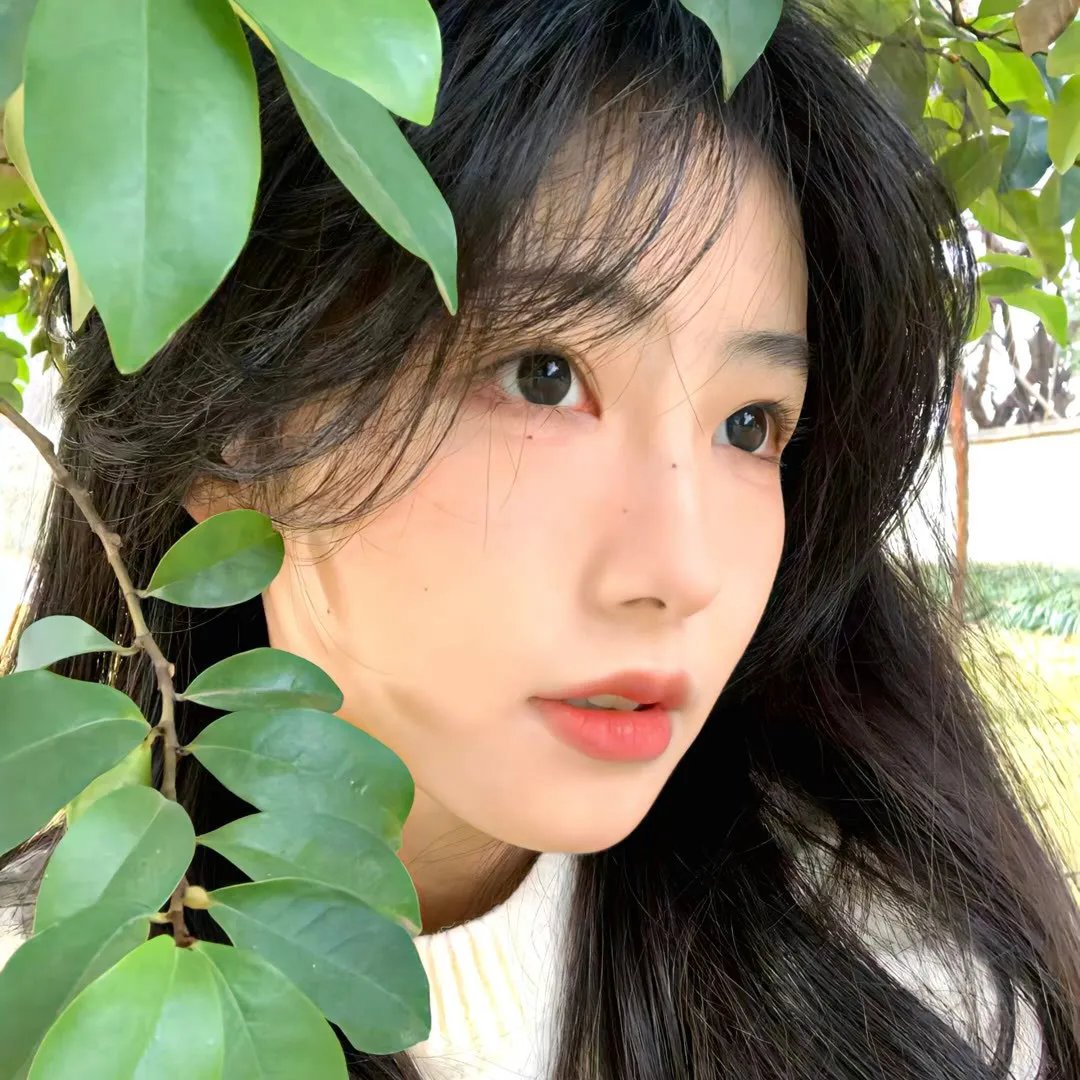 龙樱